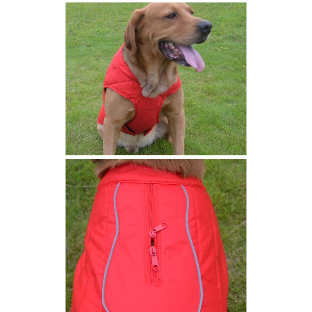Pet Clothes Autumn and Winter Dogs Can Wear Warm Jackets On Both Sides Pet Cotton-padded Clothes