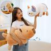 Charming Brown Capybara Plush Doll Cat Transformation Soft Toy For Kids Gift