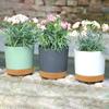 Circular Flowerpot Plastic Flowerpot With Tray Planting Pot Succulent Small Vegetable Potted Plant Gardening Supplies Home Decor