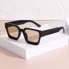 Stylish Square Thick-Rimmed Unisex Sunglasses - Trendy, High-End European & American Fashion