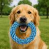 Puppy Tug-of-War Toy Dog Rope Teething