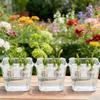 Self-watering Tulip Flower Pot 4-cell Hydroponic Flower Pots with Support Basket Home Indoor Gardening Decoration Accessories