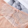 Sexy Lace Plus Size Underwear Women's Ultra-thin Mesh Transparent Ladies Briefs