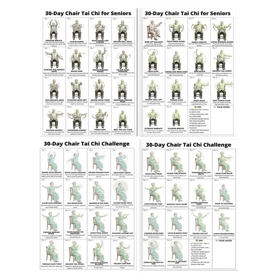 2Pcs Chair Tai Chi Workout Posters Seated Exercises Chart 30-Day Chair Tai Chi Guide for Seniors Beginners Home Gym Decor