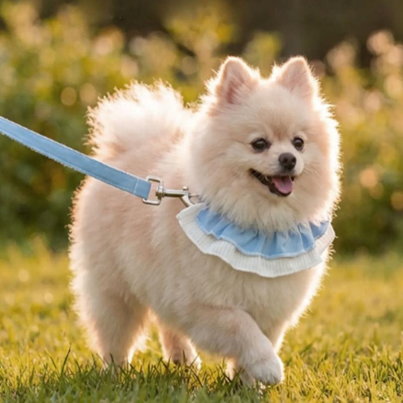 Breathable Dog Harness for Small Dogs No Pull Design Easy Walk Collar Adjustable Fit Leashes