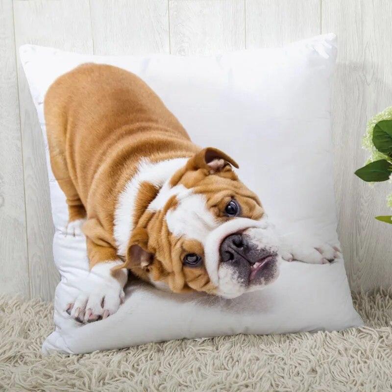 Pillowcase Bulldog  Modern Home Living Room Decoration