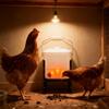 Automatic Heated Poultry Waterer Adjustable Height Large Capacity Heating Drinker For Chickens Ducks Outdoor Use 110V