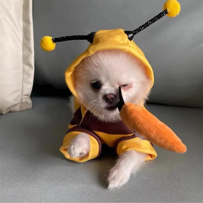 Dog Clothes Hoodie Apparels Bee Clothing for Dog Costumes Puppy Autumn Clothes Chihuahua Teddy Small Puppy Dog Accessories
