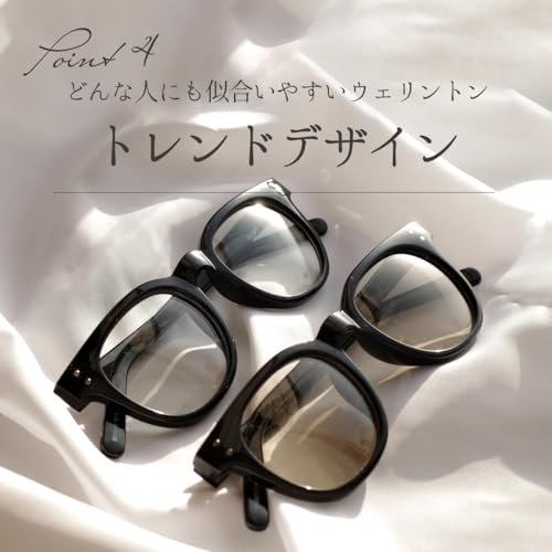 FEELLIFE Photochromic Sunglasses, Wellington, Gray, UV Protection, Blue Light Protection, Made In Sabae, PH5011-1