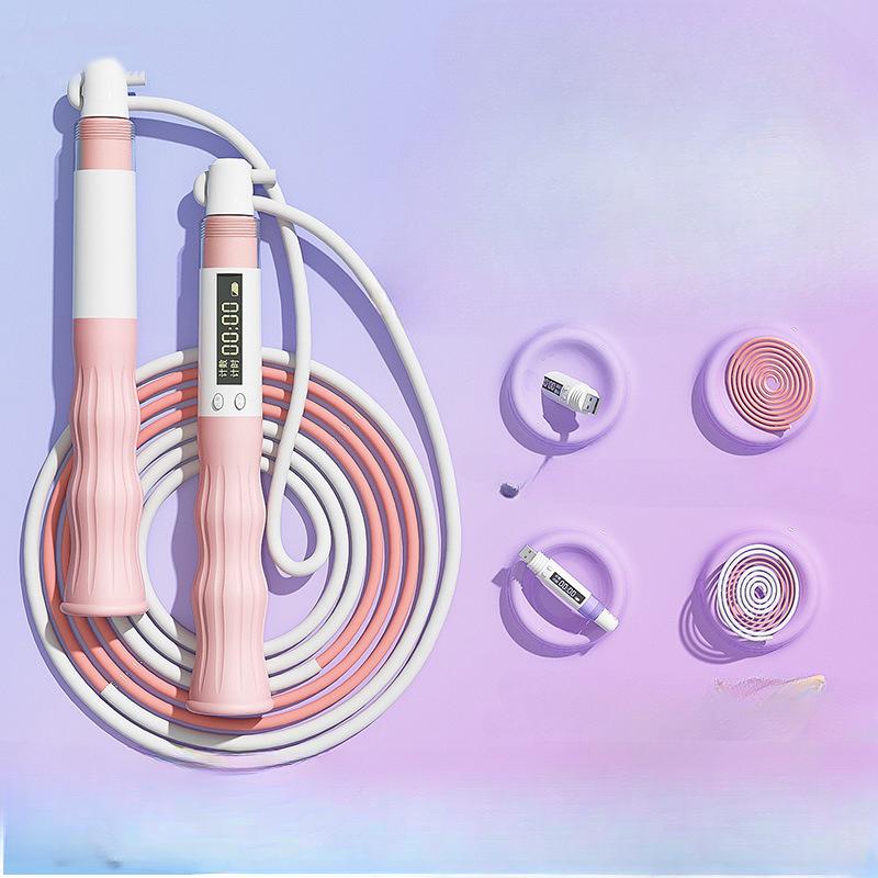 Elektronisches Zählen von Fehlstunden, Schwänzen von Prüfungszeiten durch erwachsene Grund- und Sekundarschüler, Aufladen von Fehlstunden.