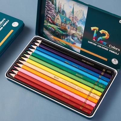 Set Regalo Matite Colorate Acquerellabili - 12 Colori in Scatola di Latta per Studenti, Arte e Disegno