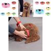 Brightly Colored Led Dog Collar Rechargeable Light-up Neckband For All Size Dogs