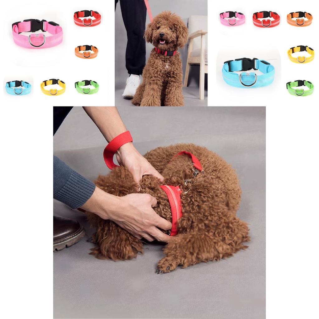 Brightly Colored Led Dog Collar Rechargeable Light-up Neckband For All Size Dogs