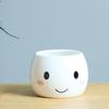 Japanese-Style Cute Mini Succulent Plant Ceramic Small Flower Pot, Simple And Creative Expression Flower Pot, New Succulent Flower Pot