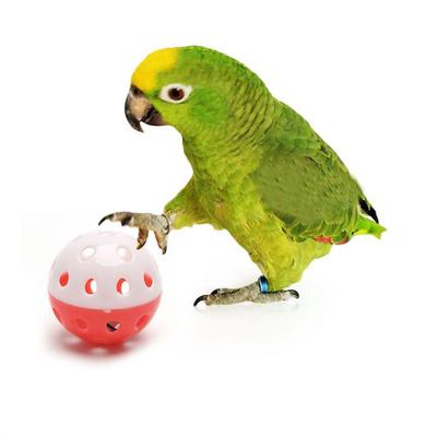 1ks Funny Parrot Toys Dutý míč se zvonkem pro andulku Korela Pták Zvukové žvýkací hračky Hračky Pták Příslušenství Náhodná barva