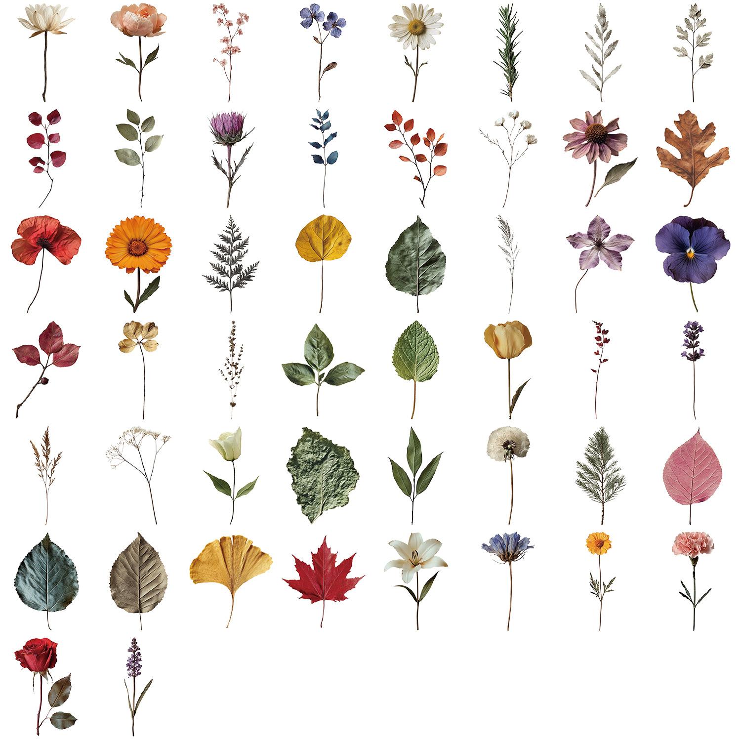 

Набор из 50 прозрачных мультяшных наклеек с образцами растений, водонепроницаемые прозрачные ПЭТ, для украшения ручного скетчбука, гитары, блокнота