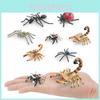 Spider Scorpion Ant Animal Insect Replicas For Kids Pvc Learning Models For Science Projects And Decor