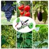 Plant Binder Machine Heavy Duty Ergonomic Handheld Labor Saving Binding Machines Garden Tying Tool For Vine Tomato Cucumber