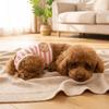 Breathable Dog Physiological Pants Leak-proof Dog Menstrual Pants Dog Diaper  Dog Heat Season