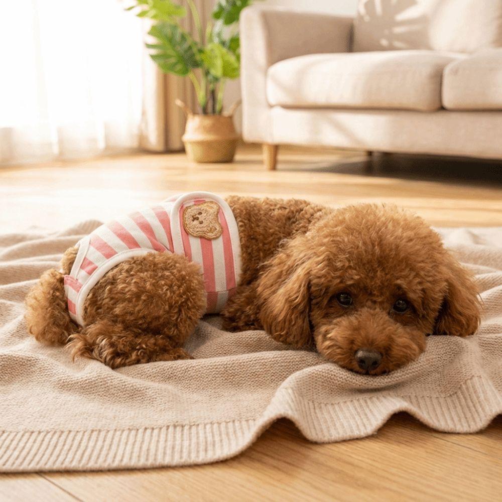 Breathable Dog Physiological Pants Leak-proof Dog Menstrual Pants Dog Diaper Dog Heat Season