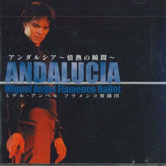 

CD MIGUEL ANGEL - Flamenco Ballet HJ2004 HAMPTON Japan World Music Used