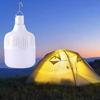 Multi-Functional Emergency LED Light Bulb with Hook Super Bright Dimmable USB Rechargeable Waterproof Outdoor Camping Light