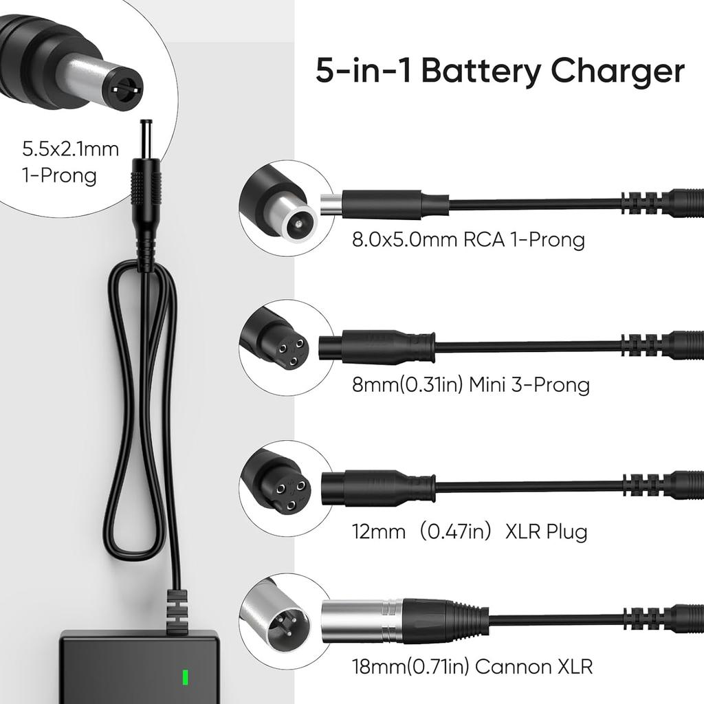 42V 2A Battery Charger Universal 5 Plugs Power Supply Adapter For 36V Lithium Battery, DC Plug With 8Mm 3 Prong /12Mm 3 Prong /8Mm RCA/3-Pin Male XLR