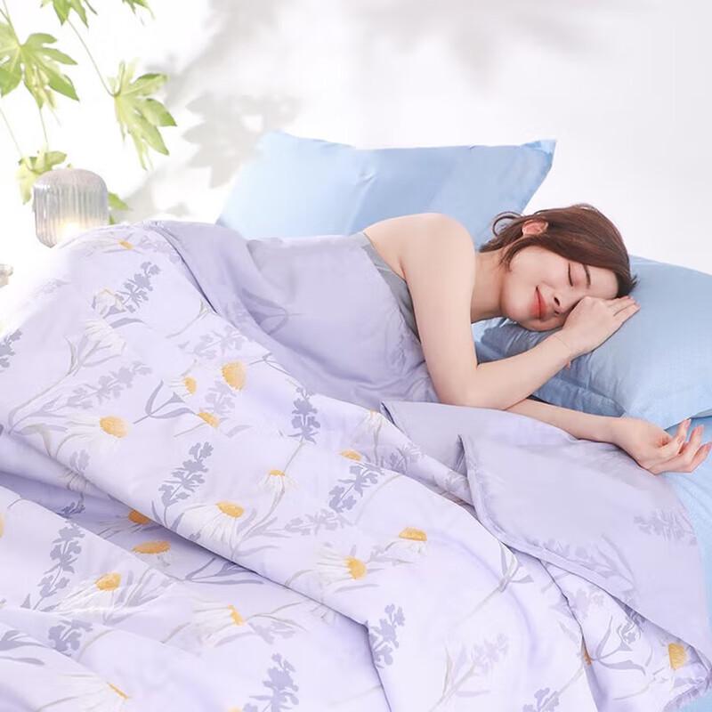 Hengyuanxiang HYX187BZ-DZ Antibacterial Soybean Summer Quilt