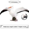 Wildlife Albatross Sparrow Bird Static Model For Kids Educational Play