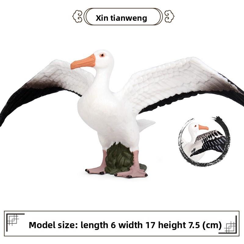 Wildlife Albatross Sparrow Bird Static Model For Kids Educational Play