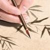 11Pcs Wood Writing Brushes Weasel Wool Hair Chinese Traditional Calligraphy Brush Set for Painting Pottery Ceramic Clay Writing