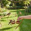 Double Bowl Hanging Bird Feeder Iron Art Bird Feeding Station Heart Shape Bird Feeder  Outdoor Use