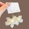 Romance Sweet Resin Stereo Flower Long Drop Dangle Earrings for Women Wedding Bride Holiday Fashion Cute Korea Jewelry Gifts