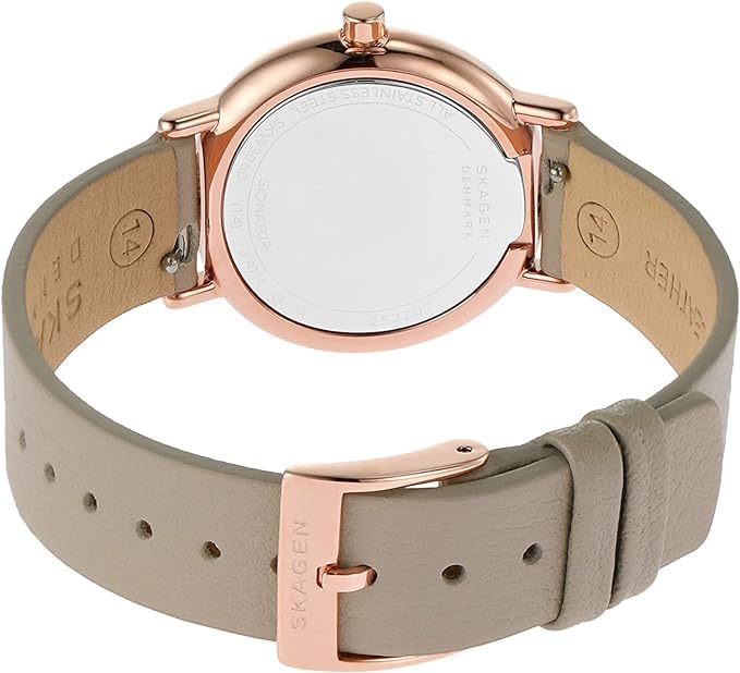 Skagen SKW3060 Women's Watch, Grey [Parallel Import]