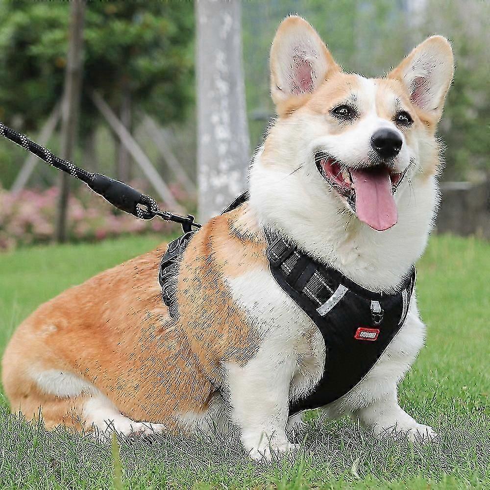 DUOMM HT-524 Atmungsaktives Hunde Geschirr Reflektierende Welpen Sicherheitsweste mit Kontrollgriff ST - Gelb
