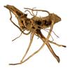 BioRoot Red Moor S / 20-30cm / Japanese root for terrariums and aquariums