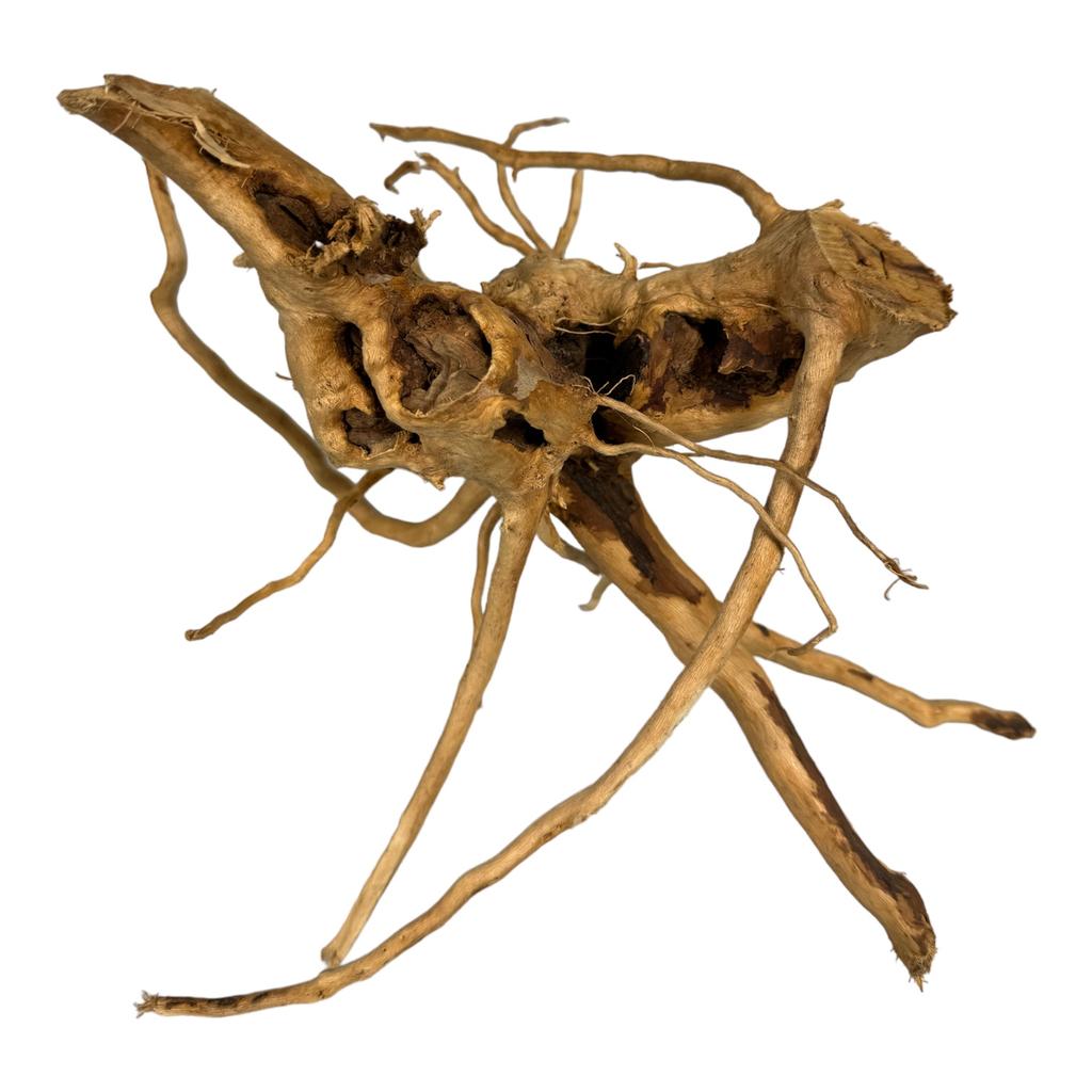 BioRoot Red Moor S / 20-30cm / Japanese root for terrariums and aquariums