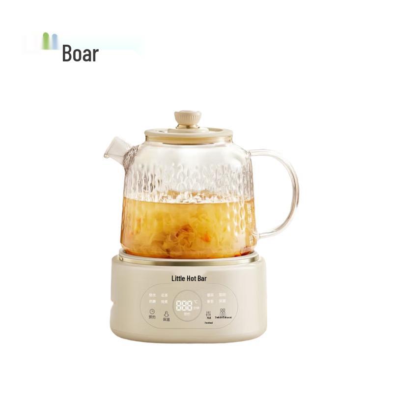 All-Glass Multi-functional Health & Tea Kettle CN plug (adapter included)