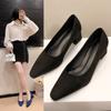 Fashion 2025Aphixta Shoes Square Heel Women Pointed Toe Pumps Fashion  High Heels Flock Leather Black Party Shoes Plus Big size