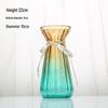 Elegant European Glass Vase for Fresh or Dried Flowers - Creative Home Decor
