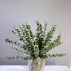 Artificial Eucalyptus Leaves for Floral Arrangements and Landscaping
