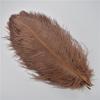 10Pcs/Lot 30-35cm Ostrich Feathers for Crafts White Feathers for Vases Wedding Party Decoration Handicraft Accessories DIY Plume
