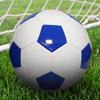 Pallone da Allenamento in PVC Ziwuqian