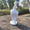 1pcs Weight Loss Slimming Goddess Statue, Decorative Figurines, Sculpture, Bedroom Model, Yoga, Gym, Gym Ornament, Gift for Girls