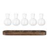 Plants Terrarium for Hydroponics Plants Office Plant Propagation Station with Retro Wooden Stand Home Desktop Glass Planter