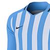 Nike T Shirts Men's Blue Crew Neck Moderate Straight Fit AO2455-412