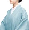 Washable Sky [KYOETSU] 2-piece kimono, Koma-ro, Silk, Women's (L, Blue)