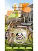 Inflatable Transparent Giant Football Beach Ball for Children and Parent-Child Interaction