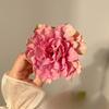 Super Fairy-like Flower Side Clip for Photo Atmosphere Girl's Hair ClipPeony Camellia Headwear