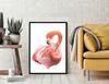 Picture Poster In a Frame 43x33 Cm Flamingo P1233